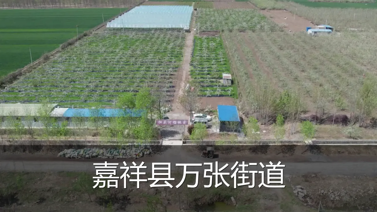 嘉祥县万张街道