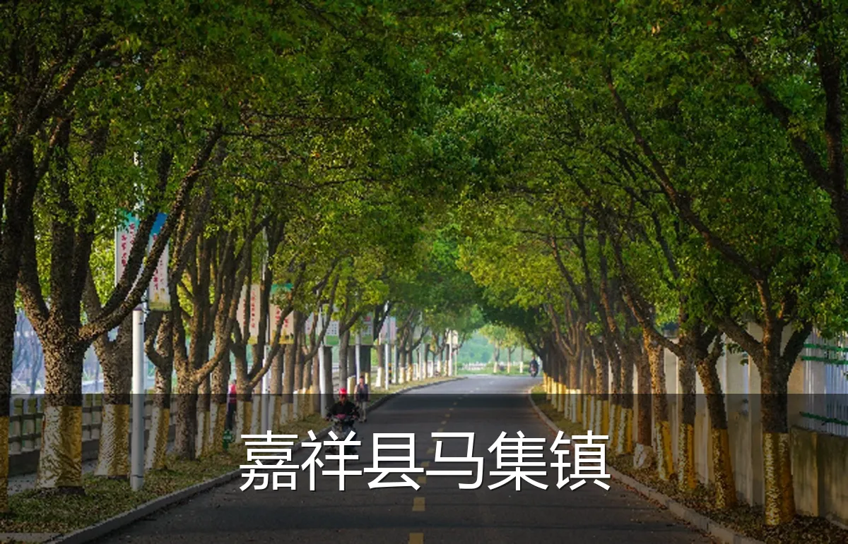 嘉祥县马集镇